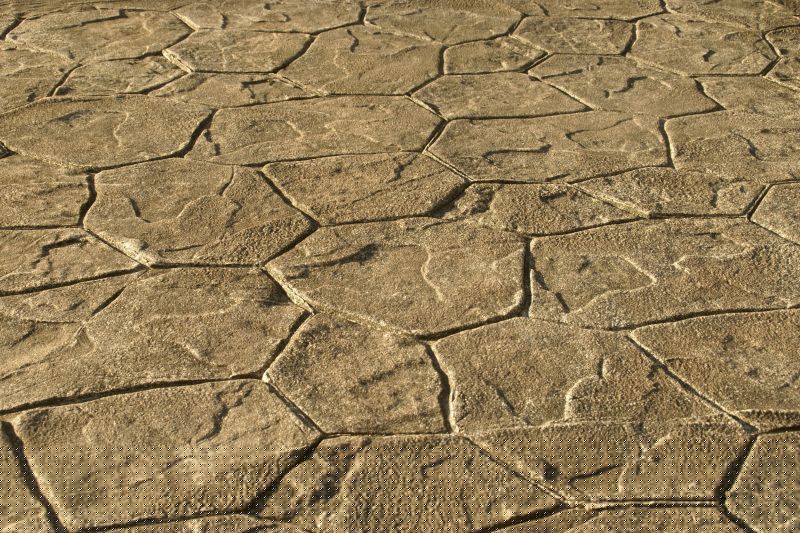 Textured Concrete Service